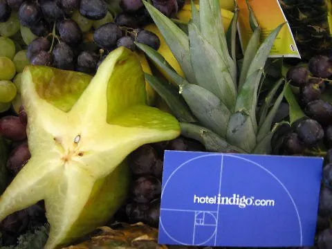 Hotel Indigo Chicago - Schaumburg North Hotel 3*